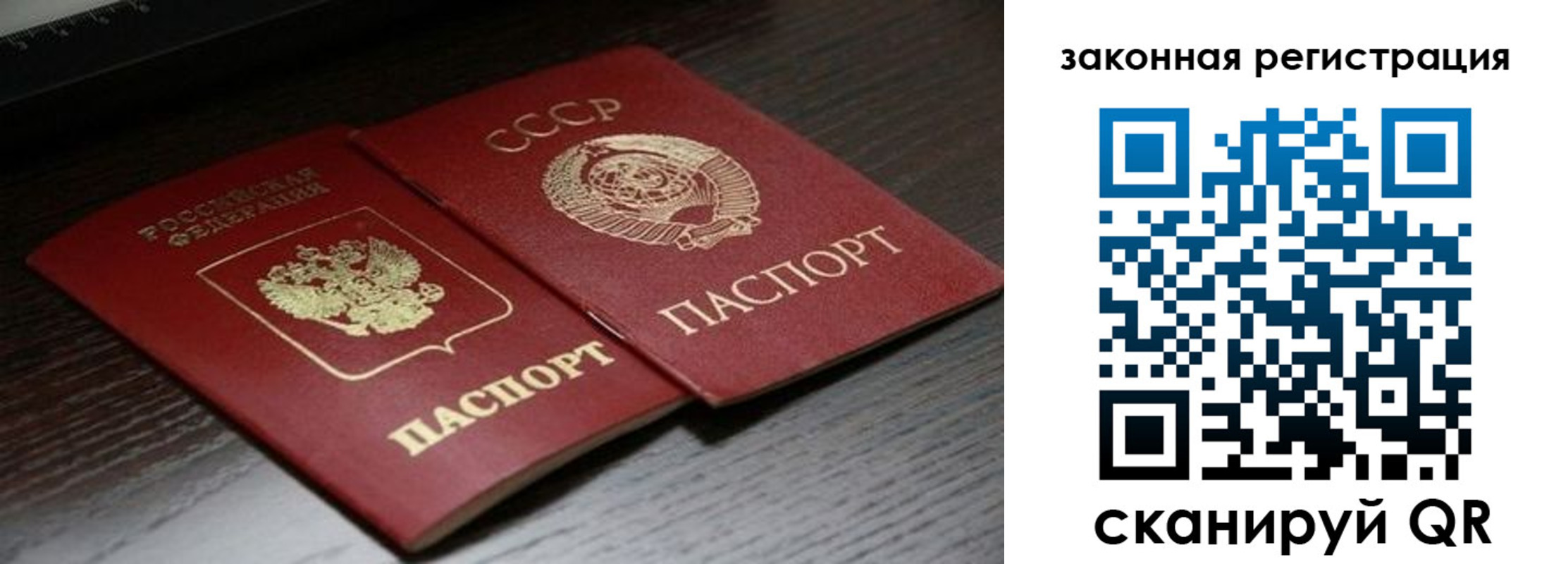 прописка поиск в Кургане
